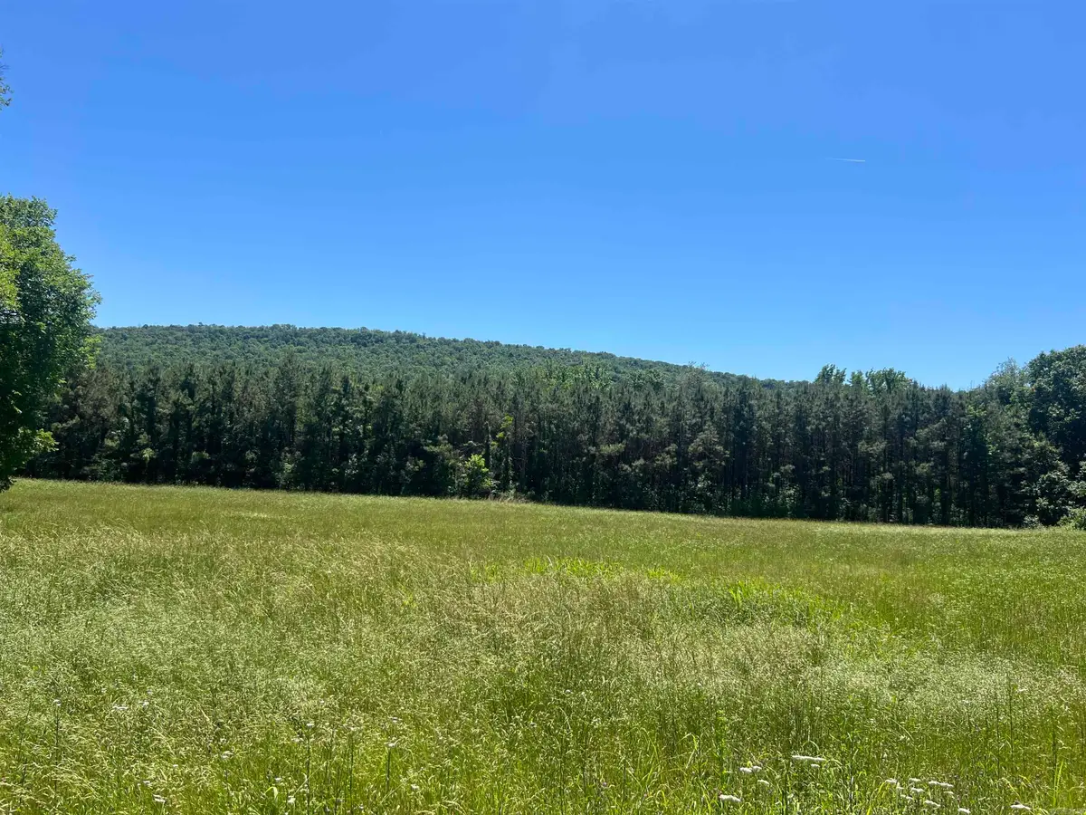 13535 Harkey Valley Road, Dardanelle, AR 72834 - #1