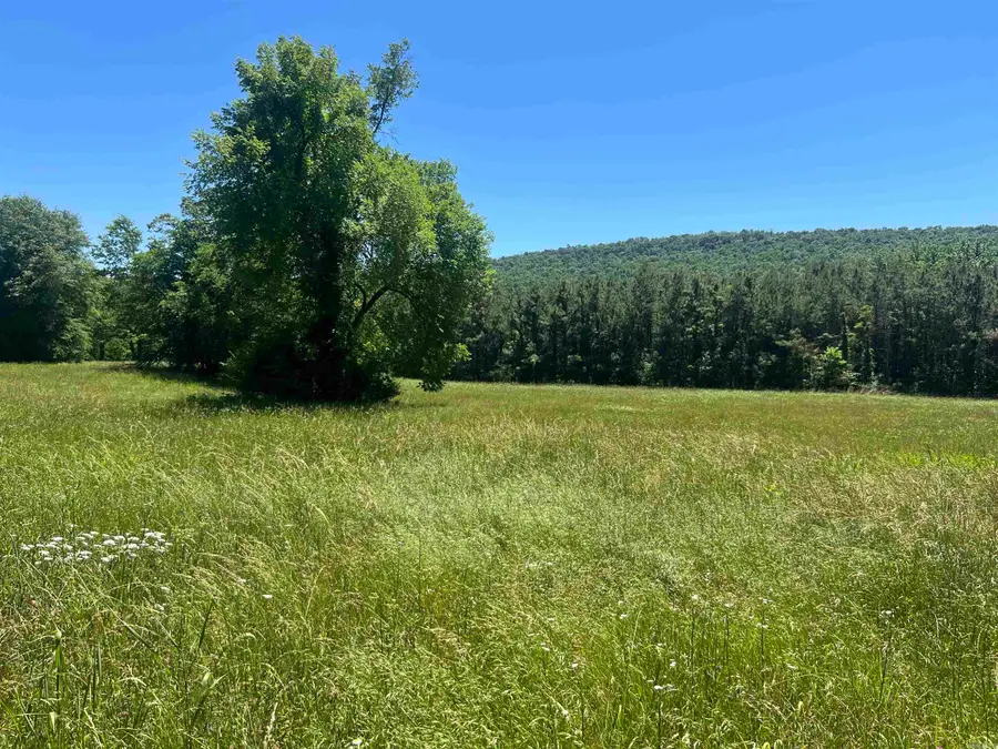 13535 Harkey Valley Road, Dardanelle, AR 72834 - #2