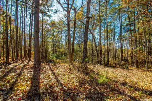 Vimy Woods Drive, Alexander, AR 72022