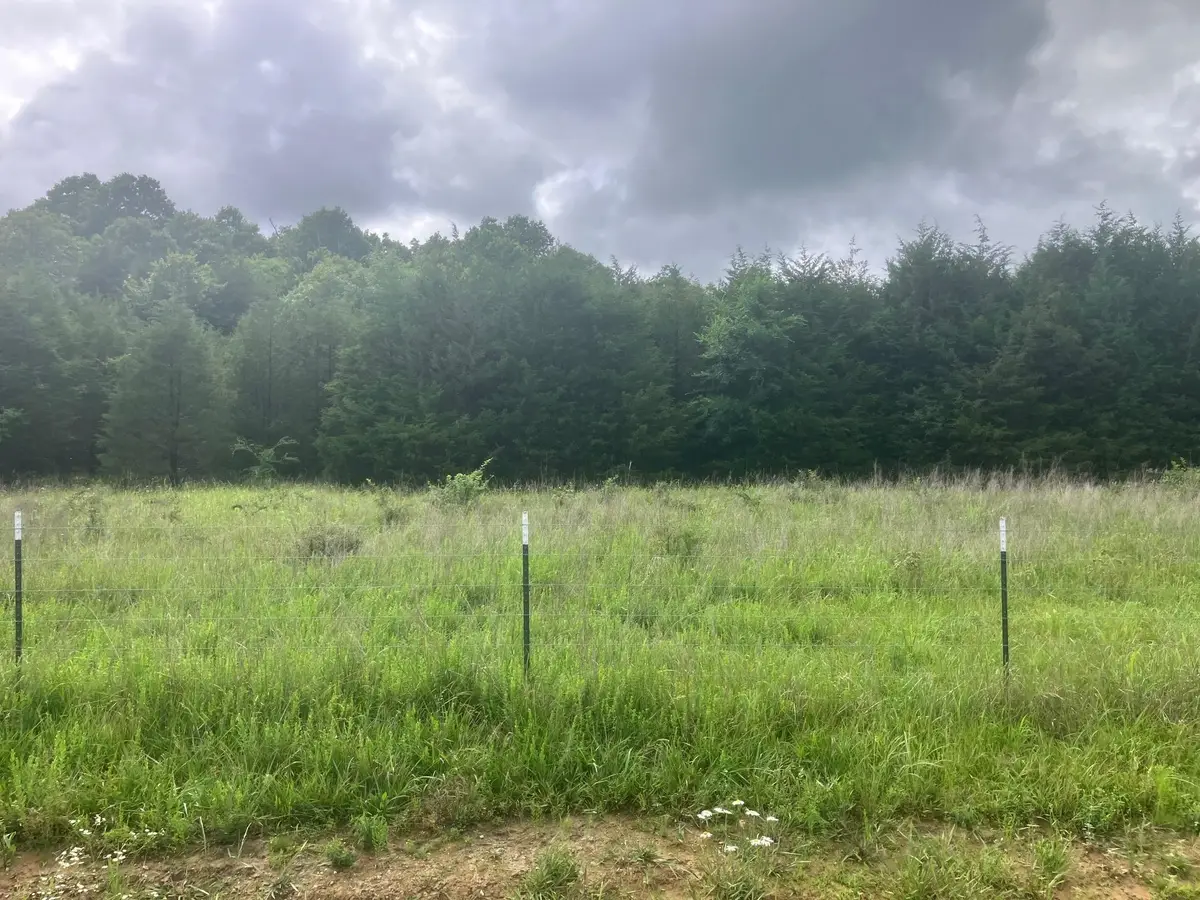8521 Byron Road, Salem, AR 72576 - #1
