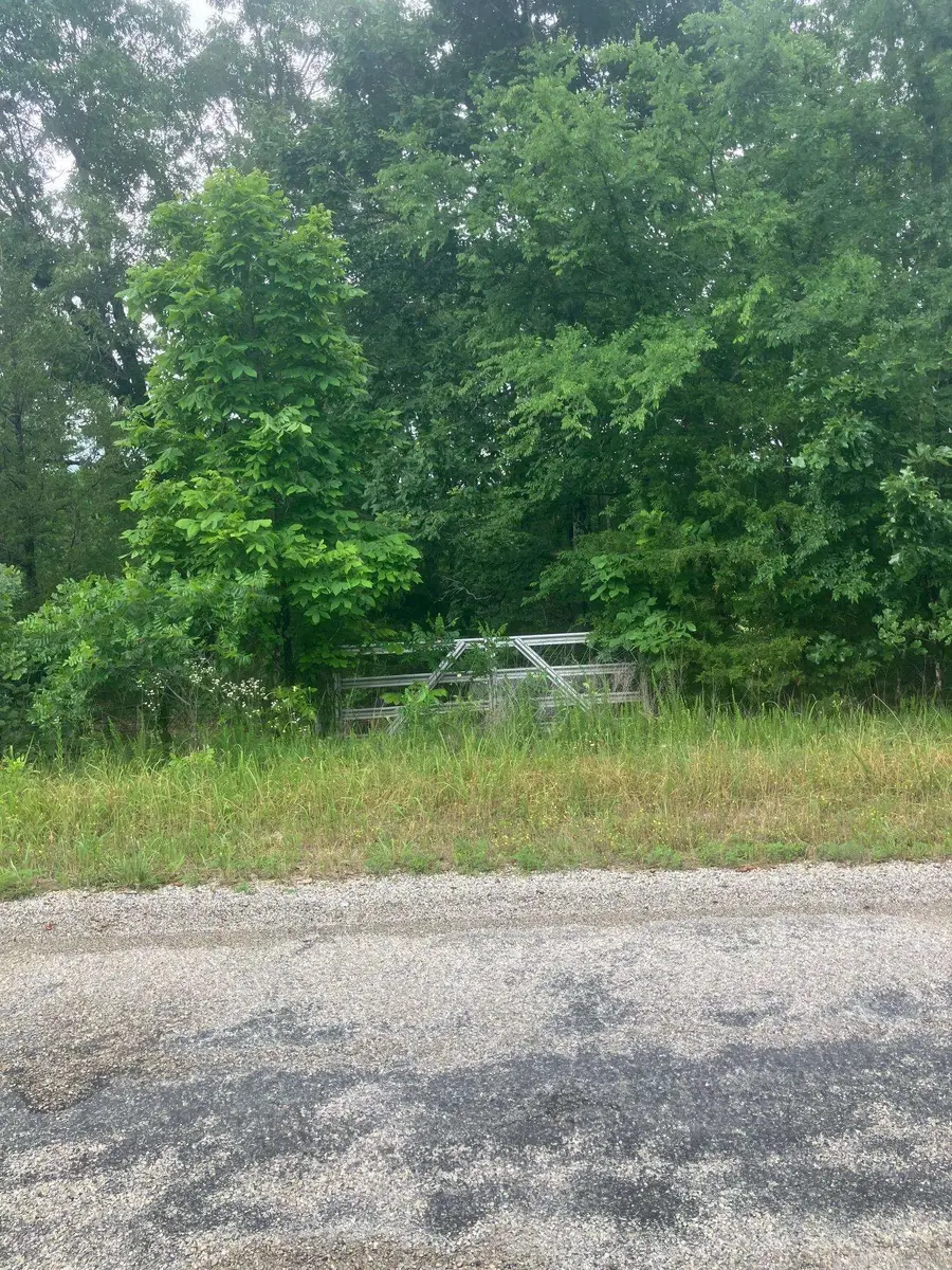 8521 Byron Road, Salem, AR 72576 - #3