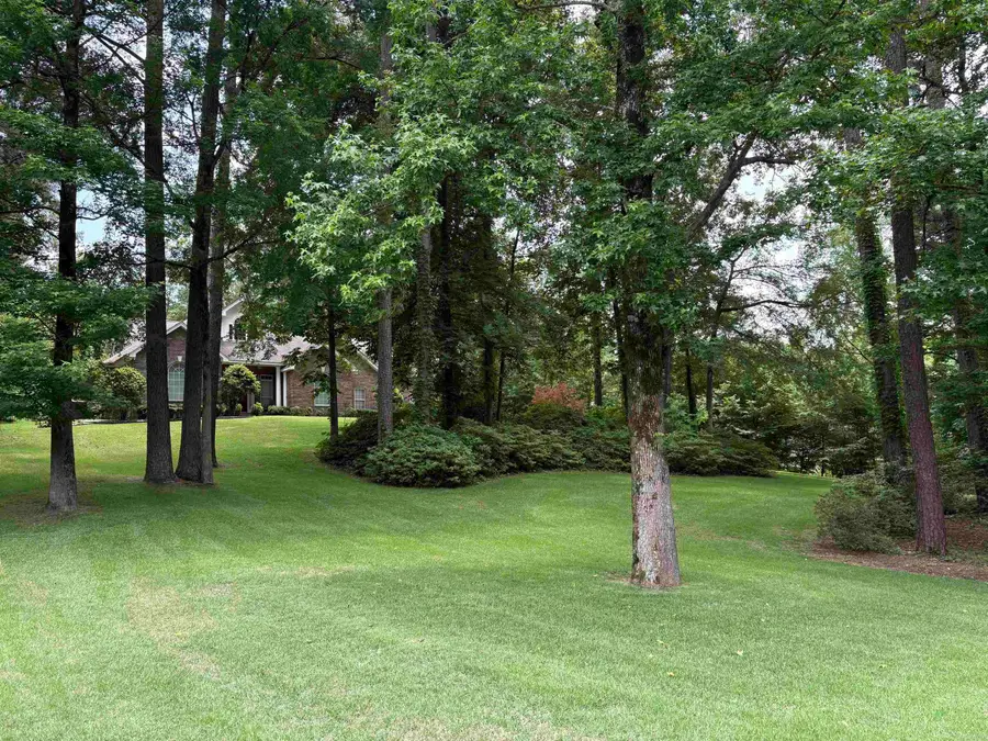 95 Pinnacle Drive, Arkadelphia, AR 71923 - #2