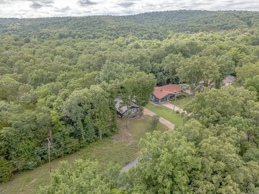138 Flathead Dr, Cherokee Village, AR 72529 - #3