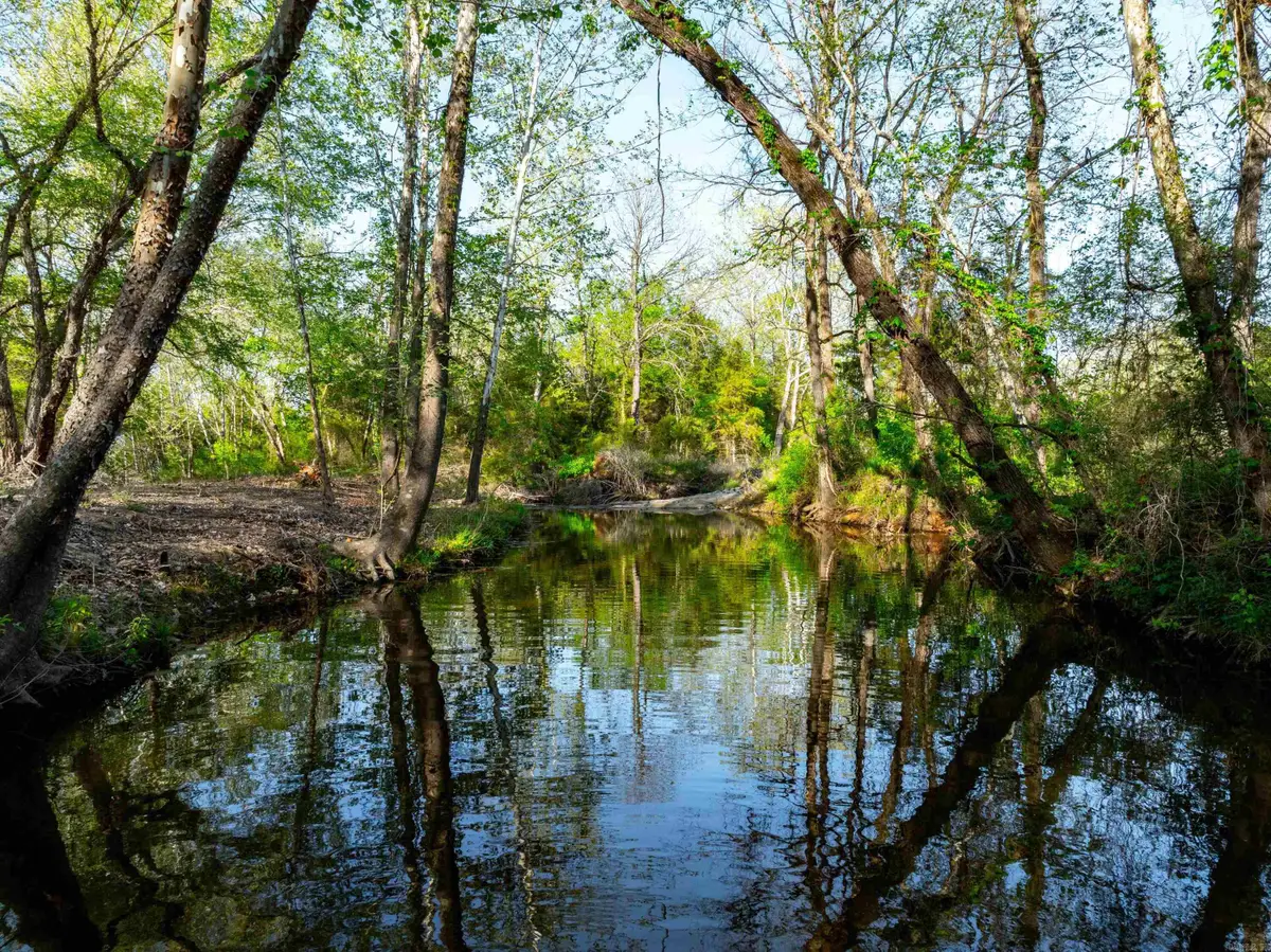 3828 Hwy 56, Evening Shade, AR 72532 - #1