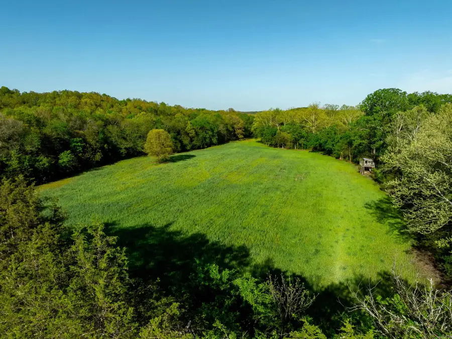 3828 Hwy 56, Evening Shade, AR 72532 - #2