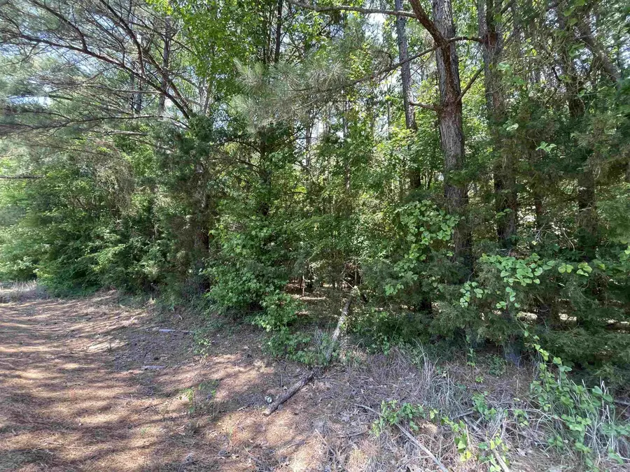 237 Cottonshed Lane, Franklin, AR 71851 - #3