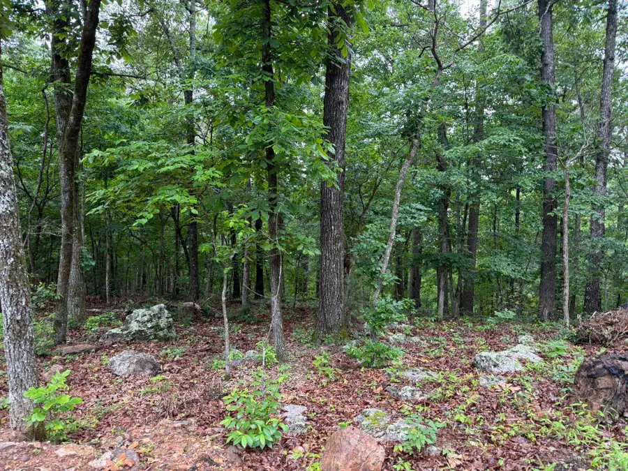 37 Tall Pine Circle, Norfork, AR 72658 - #3