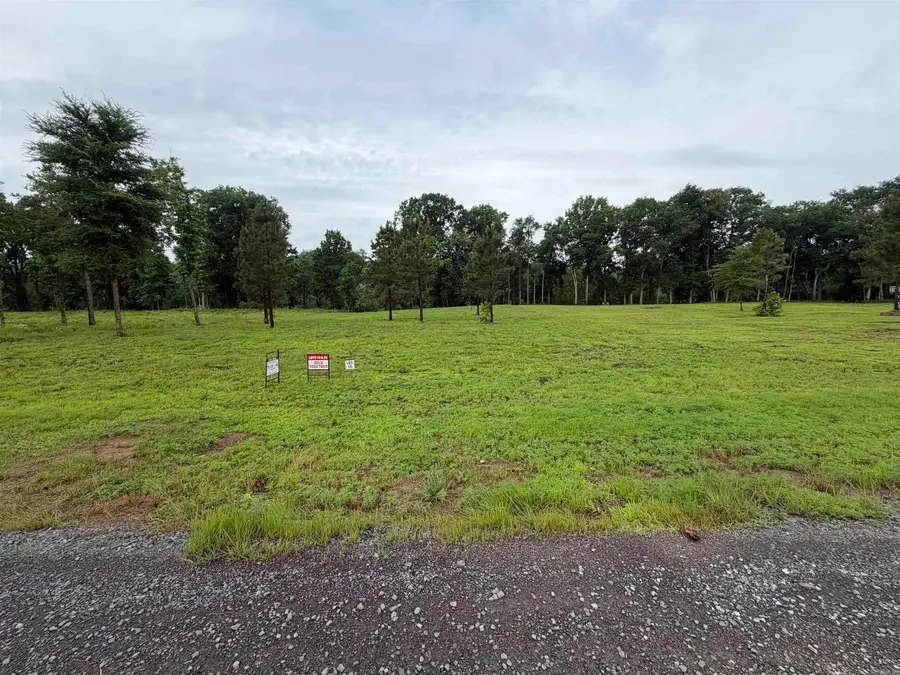 Lot 10-29 Old River Rd, Pangburn, AR 72121 - #2