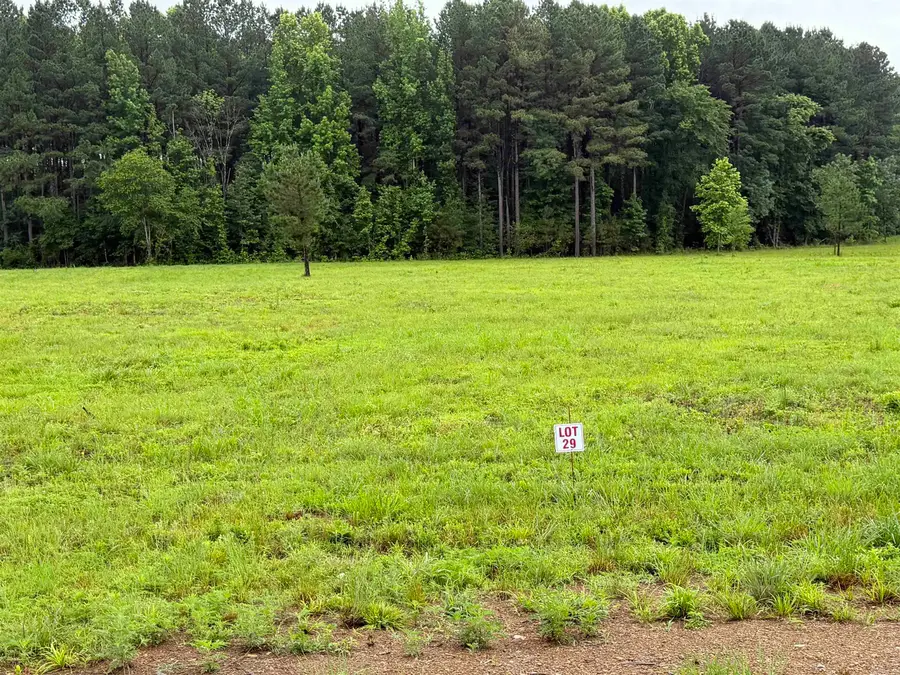 Lot 10-29 Old River Rd, Pangburn, AR 72121 - #3