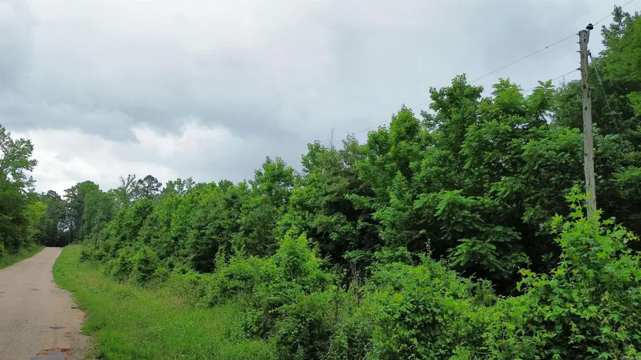 000 Antioch Cemetery Road, Donaldson, AR 71941 - #3