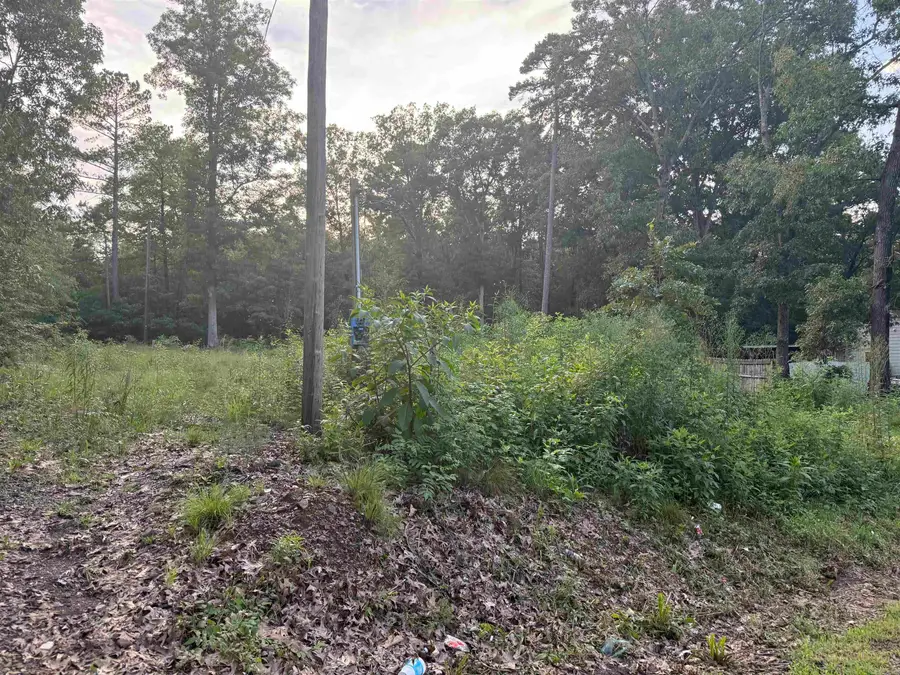 3922 Holt Street, Little Rock, AR 72204 - #2
