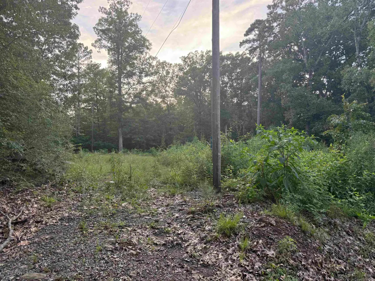 Bowers Drive, Little Rock, AR 72204 - #1