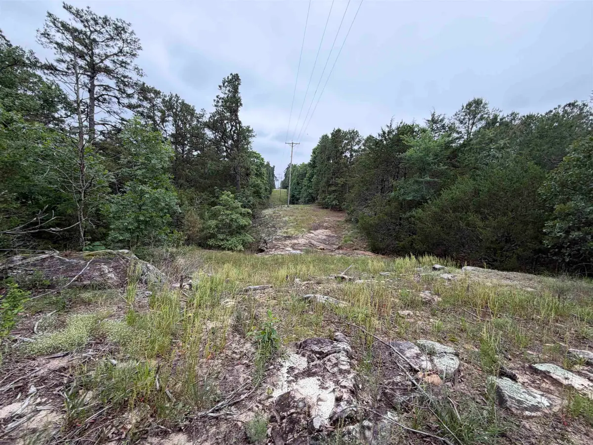 1031 Old Dolph Road, Calico Rock, AR 72519 - #1