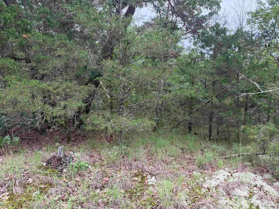 1031 Old Dolph Road, Calico Rock, AR 72519 - #2