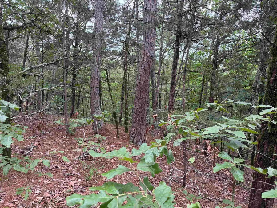 1031 Old Dolph Road, Calico Rock, AR 72519 - #3