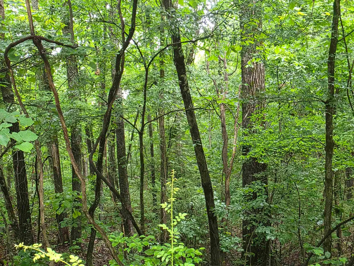 L-47, B-2 Saskatchewan Drive, Cherokee Village, AR 72529 - #1