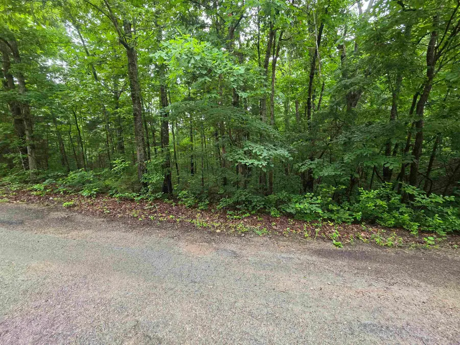 L-47, B-2 Saskatchewan Drive, Cherokee Village, AR 72529 - #2