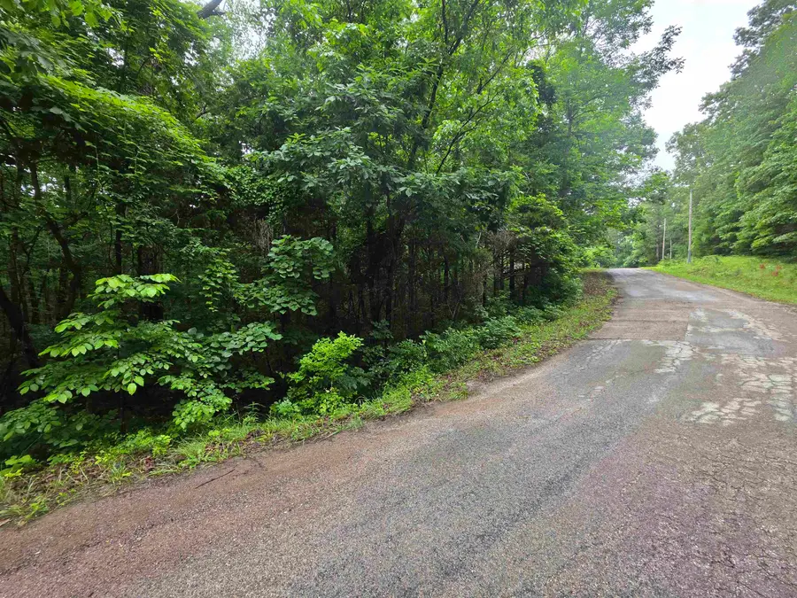 L-47, B-2 Saskatchewan Drive, Cherokee Village, AR 72529 - #3
