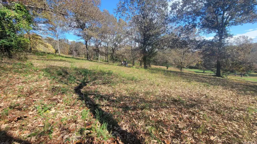 000 Fox Chase, Flippin, AR 72634 - #3