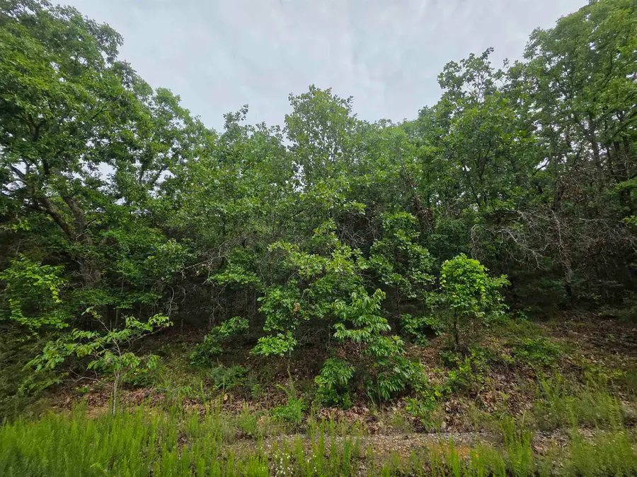 L-10, B-4 Arizonac Drive, Cherokee Village, AR 72529 - #2