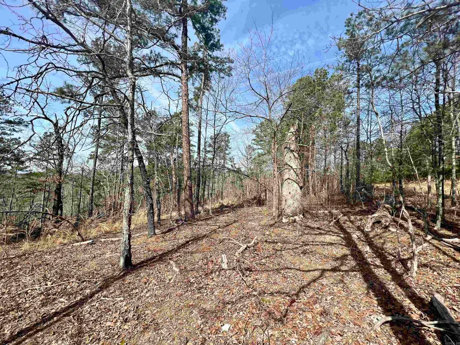 Tract 6 Ramblewood Trail, Yellville, AR 72687 - #3