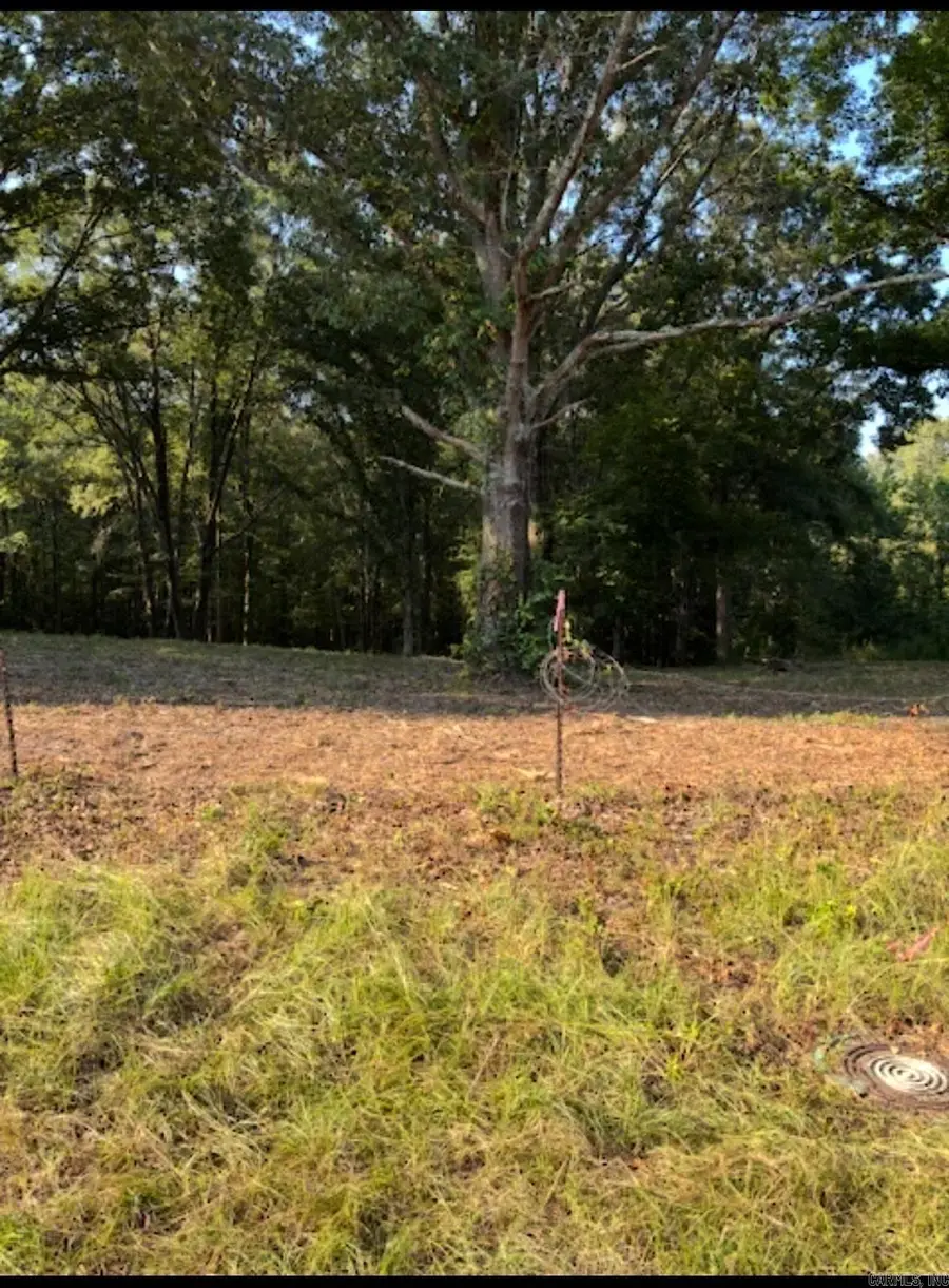 Tract C 1-2 Morningstar Circle Circle, Benton, AR 72015 - #2