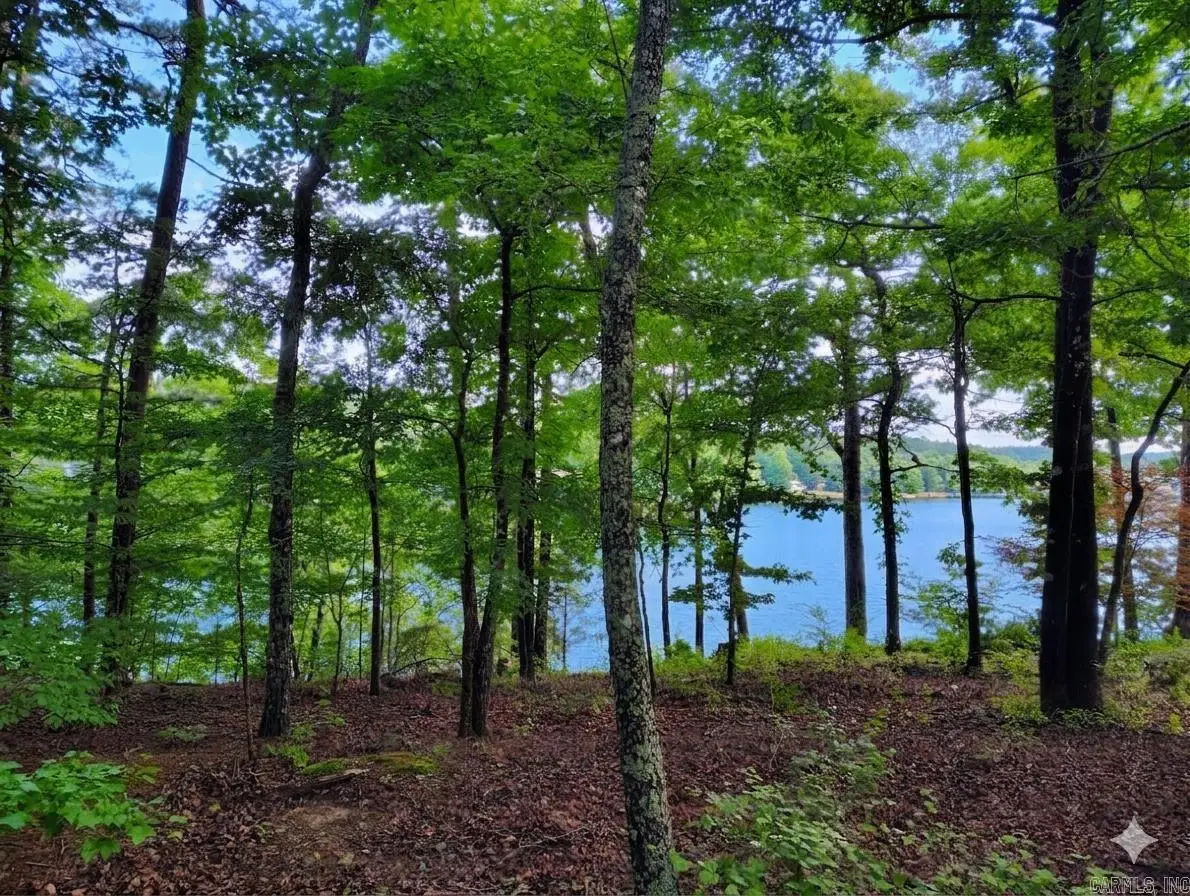 Address Withheld By Seller, Hot Springs Village, AR 71909 - #1