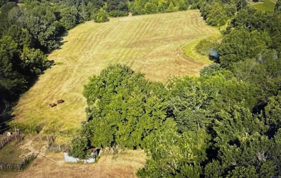 711 Twin Dikes Rd, Atkins, AR 72823 - #3