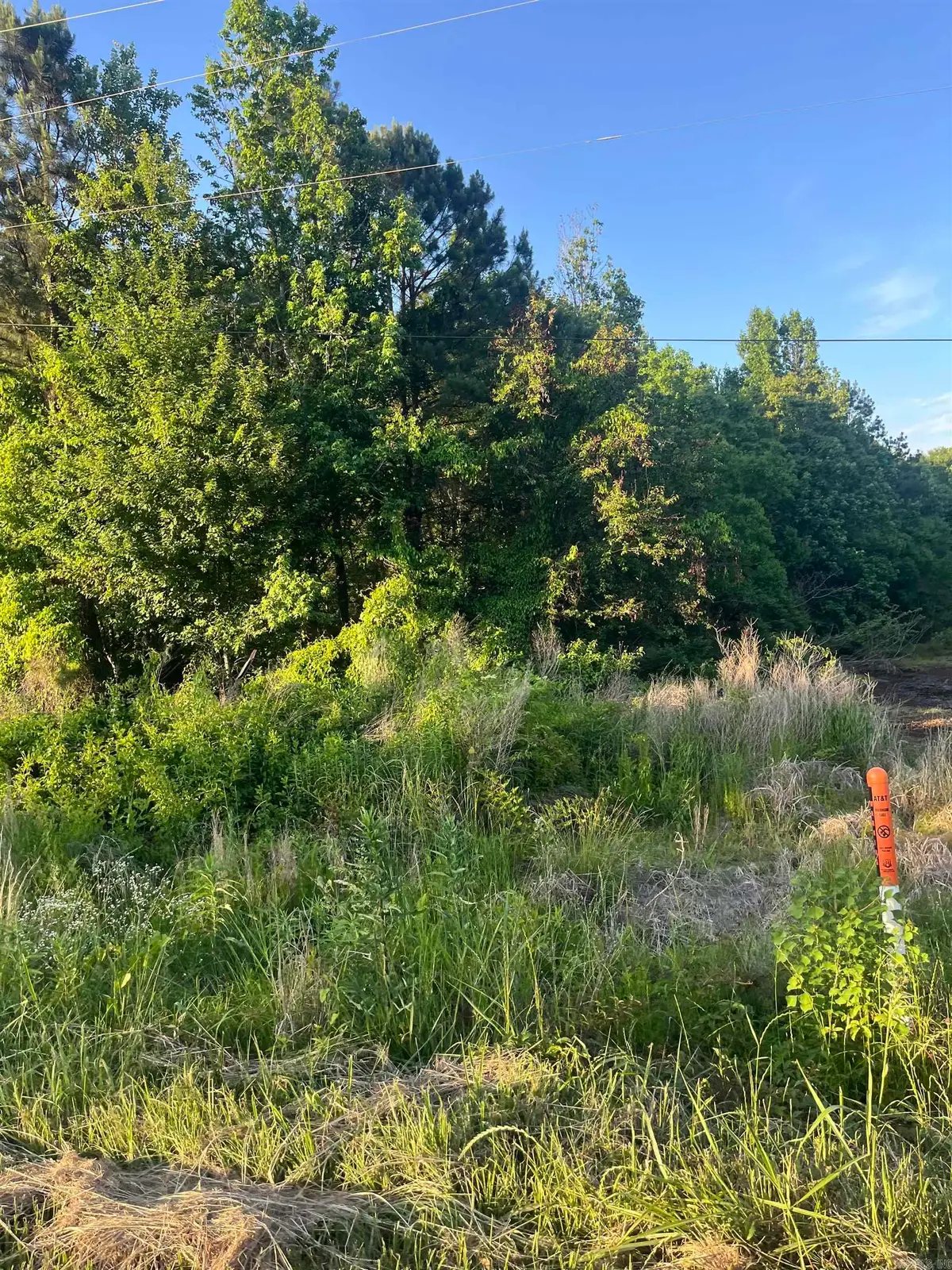 Lot 6 Robon Hood, Sherwood Forest, Monticello, AR 71655 - #1