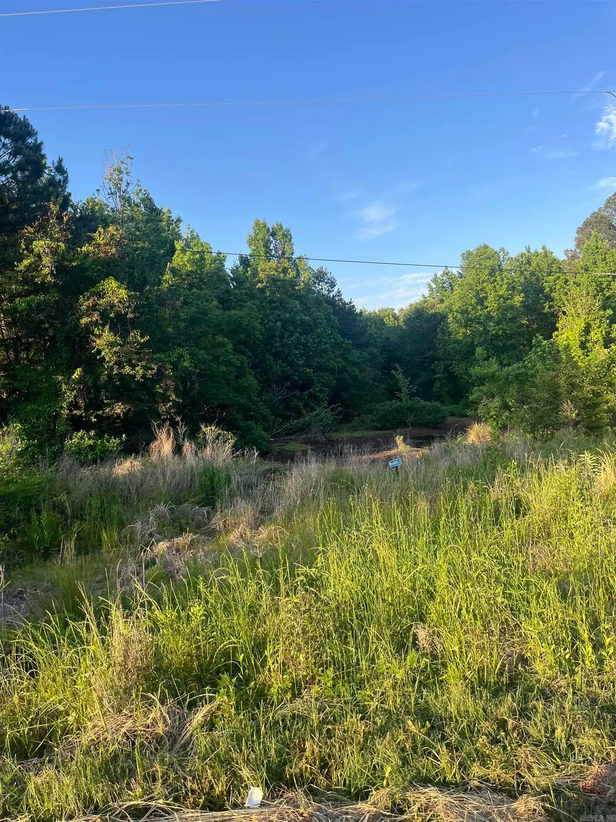 Lot 27 Kennedy St, Sherwood Forest, Monticello, AR 71655 - #1