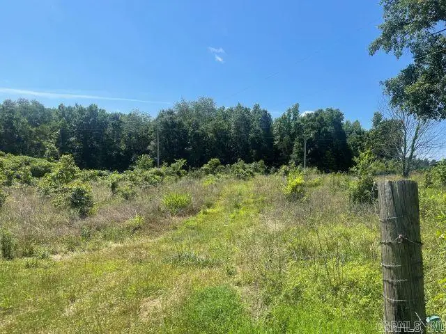 53 B Pilgrim Rest Road, Greenbrier, AR 72058 - #1