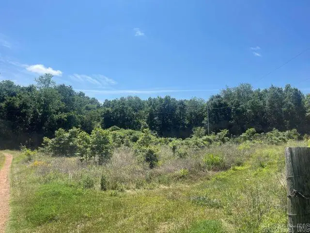 53 B Pilgrim Rest Road, Greenbrier, AR 72058 - #2