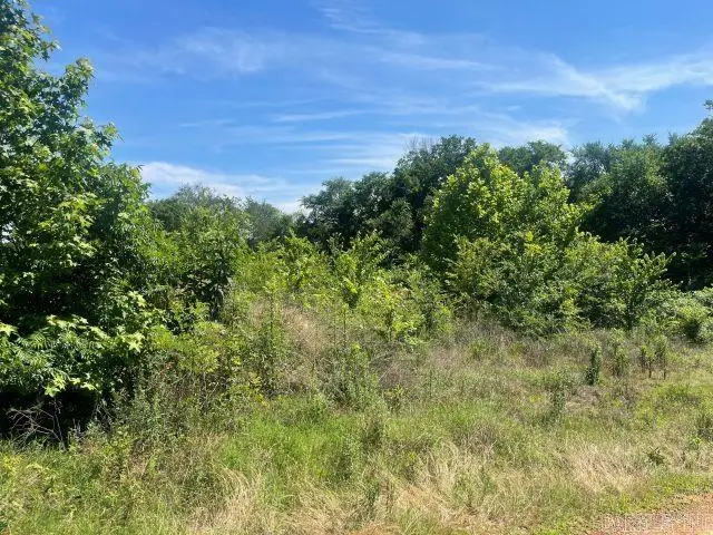 53 B Pilgrim Rest Road, Greenbrier, AR 72058 - #3