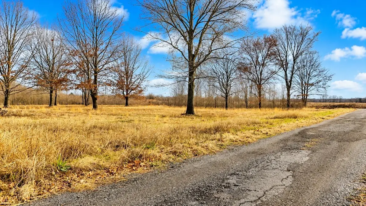 TBD Levinston North, Humphrey, AR 72023 - #1
