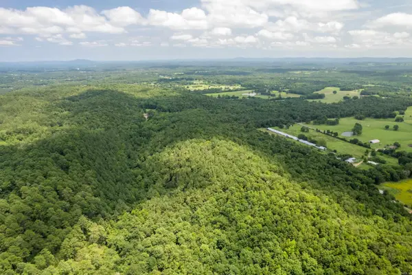 Ragweed Valley Road, Royal, AR 71968