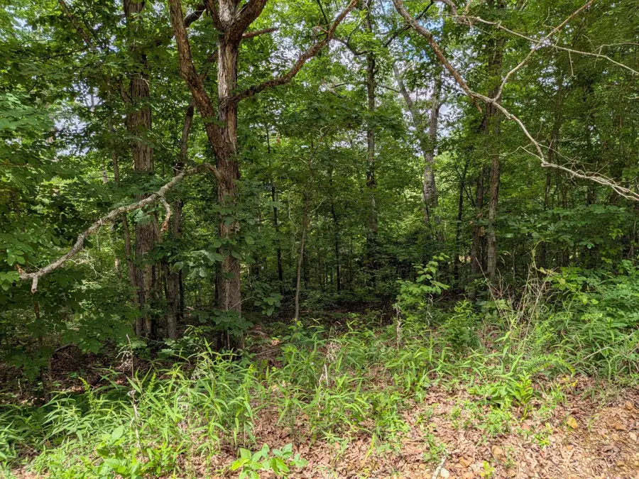 E Lakeshore Drive, Ozark Acres, AR 72482 - #2