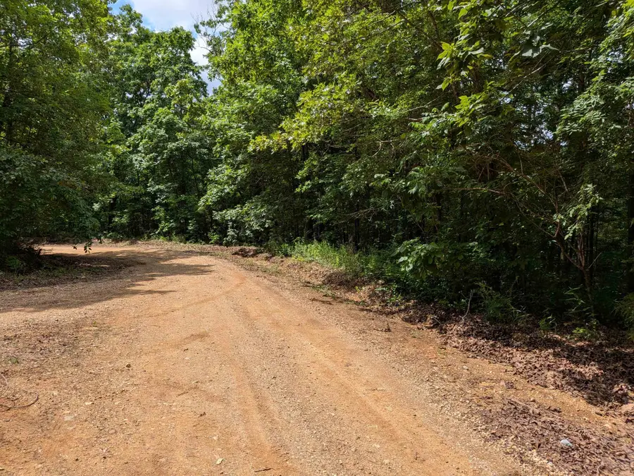 E Lakeshore Drive, Ozark Acres, AR 72482 - #3