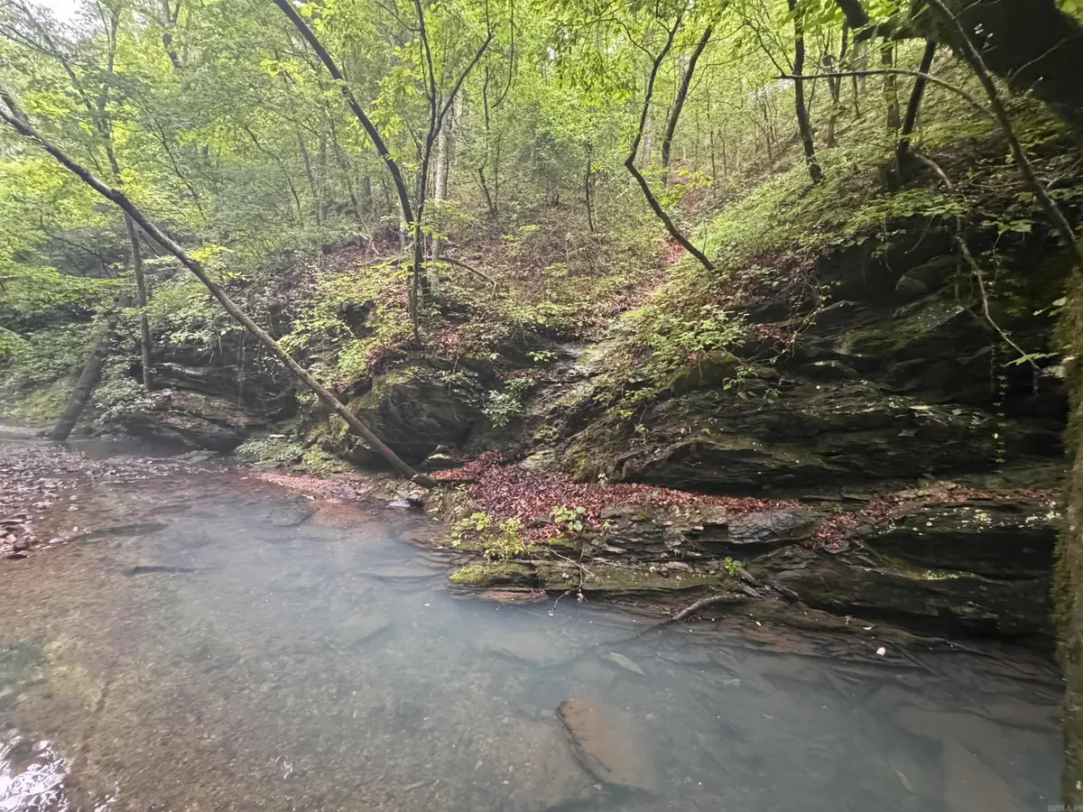 10 acres Liberty Road, Norman, AR 71960 - #1