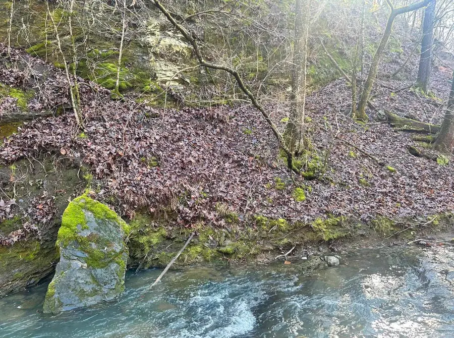 10 acres Liberty Road, Norman, AR 71960 - #2