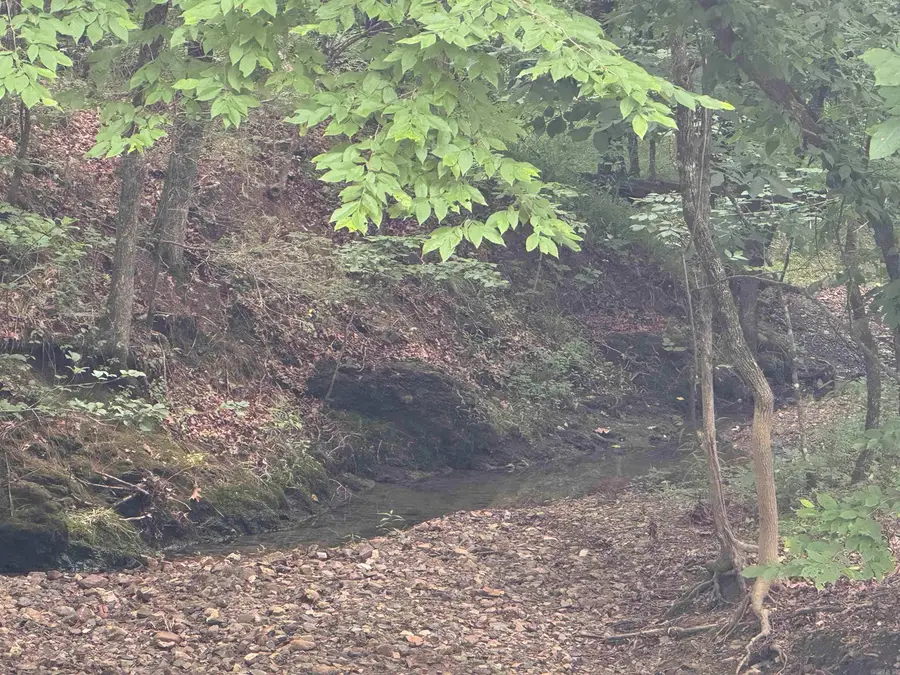 10 acres Liberty Road, Norman, AR 71960 - #3