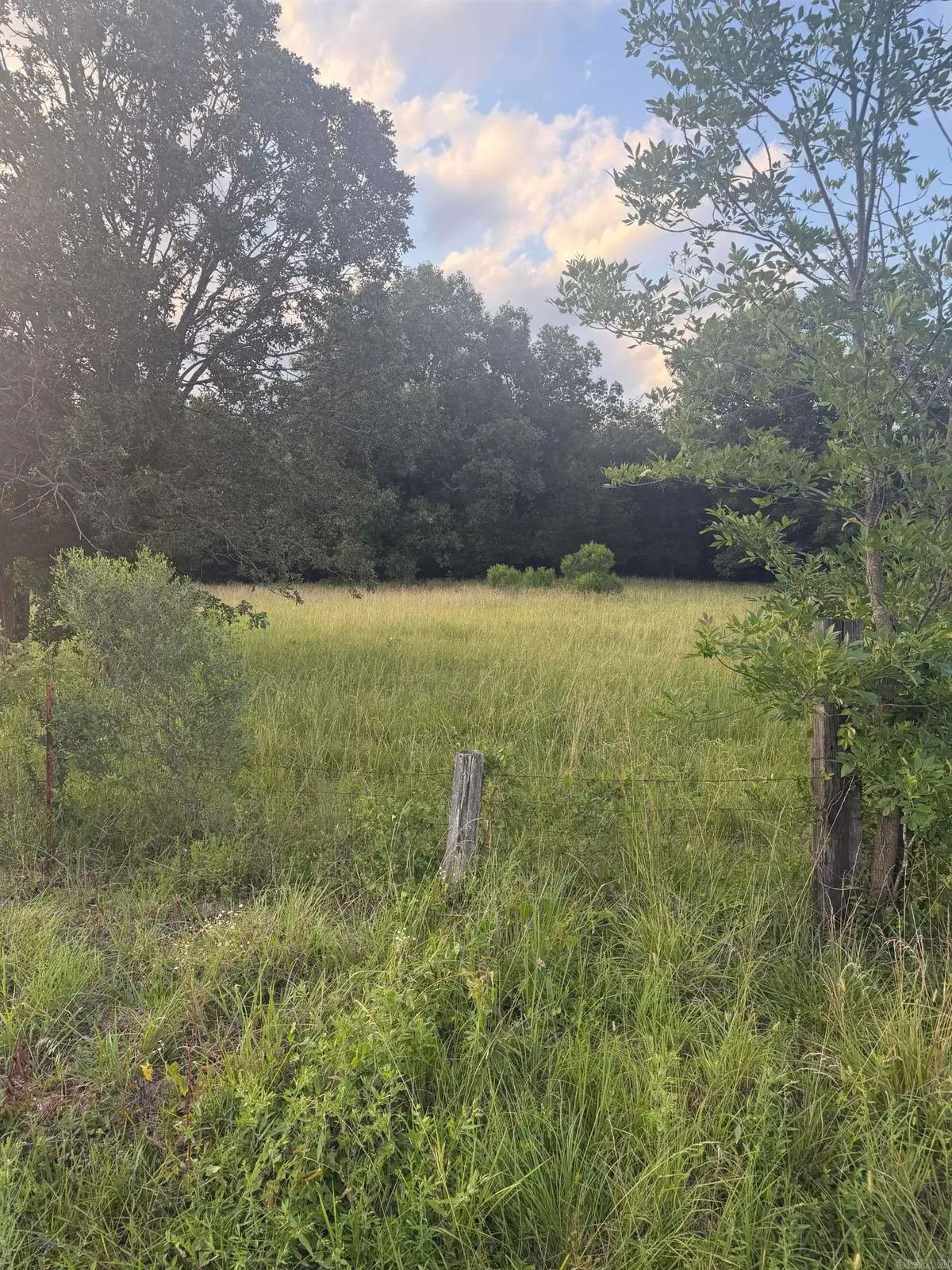 00 Pruett Road, Conway, AR 72032 - #1