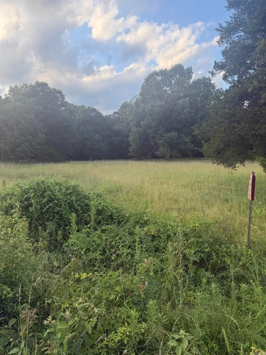 00 Pruett Road, Conway, AR 72032 - #2
