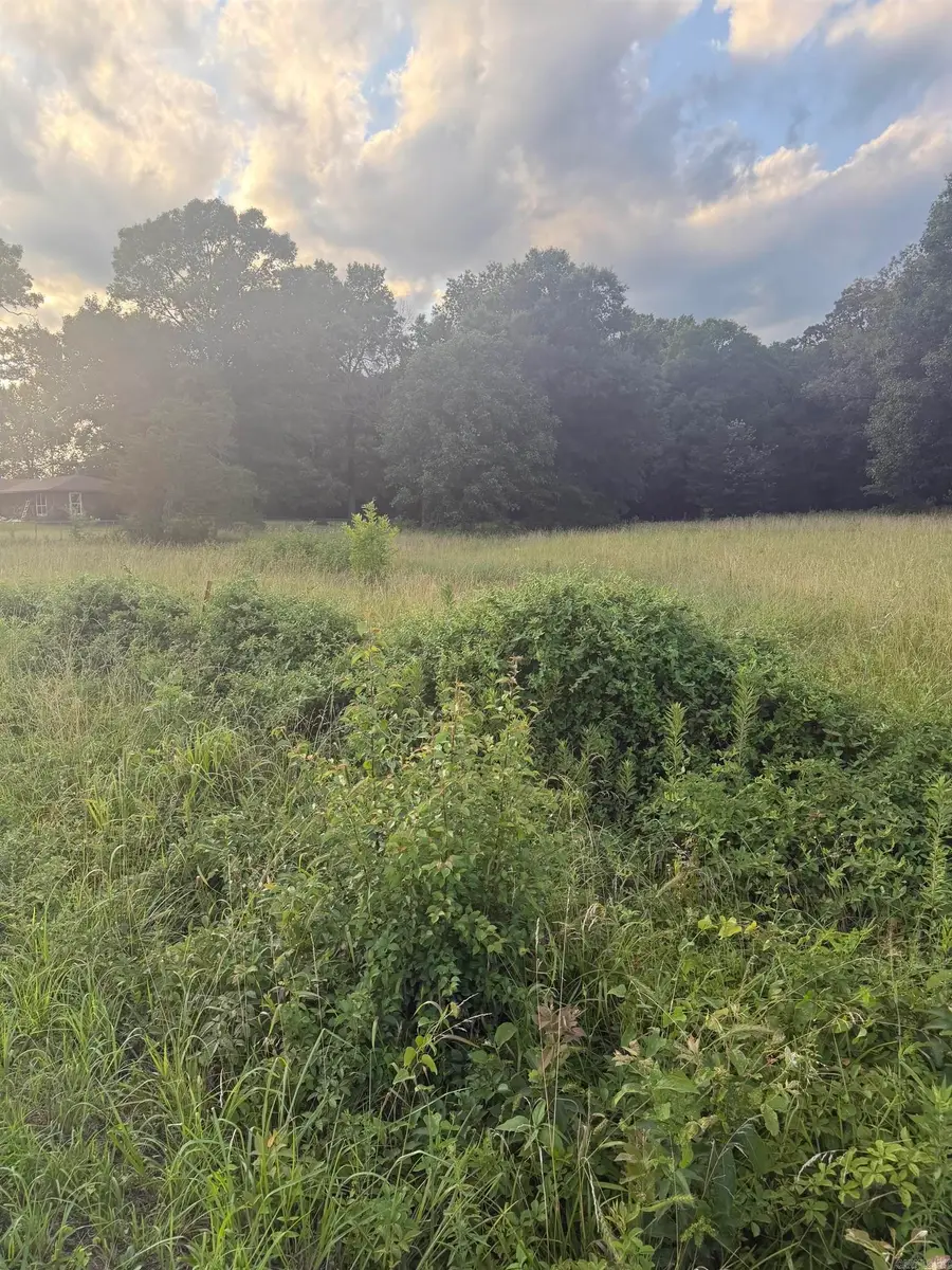 00 Pruett Road, Conway, AR 72032 - #3