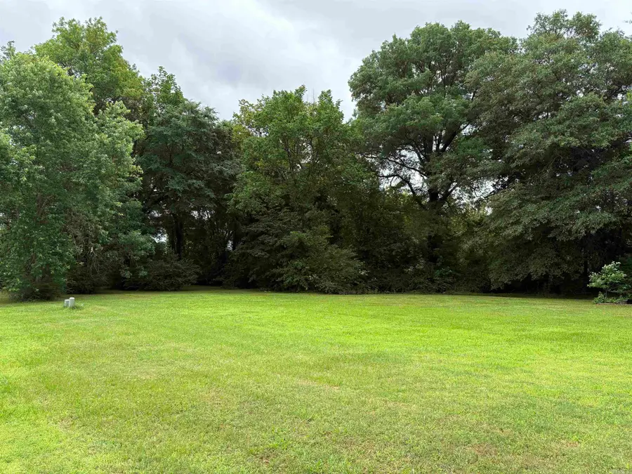 298 Niagra Falls, Conway, AR 72032 - #3