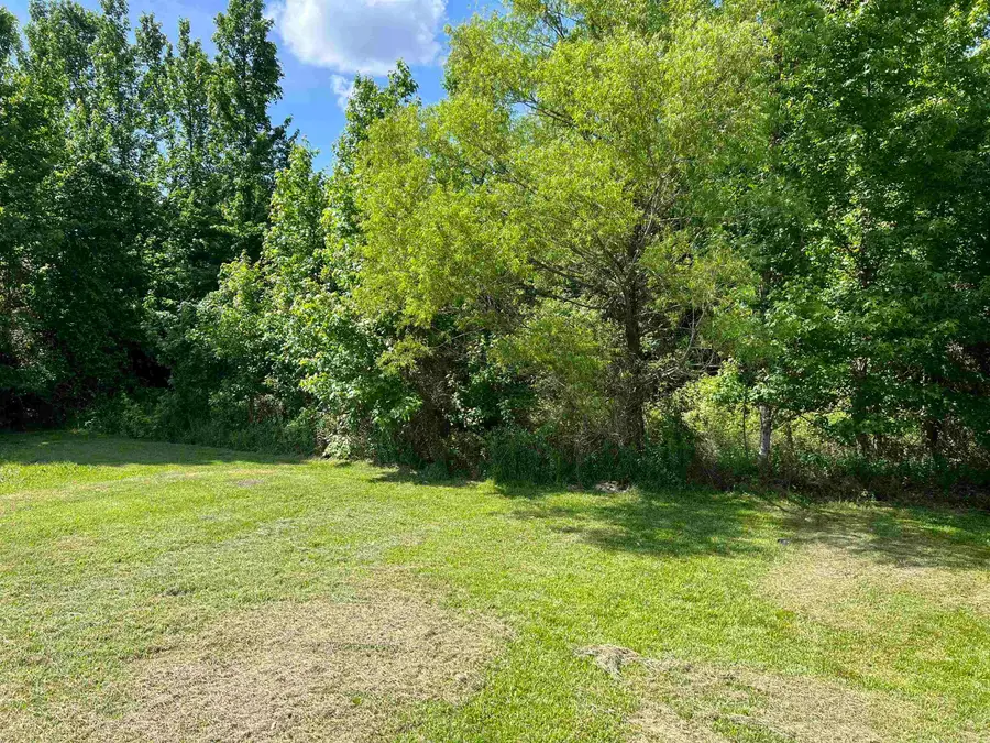 142 Blissful Lane, Mena, AR 71953 - #3