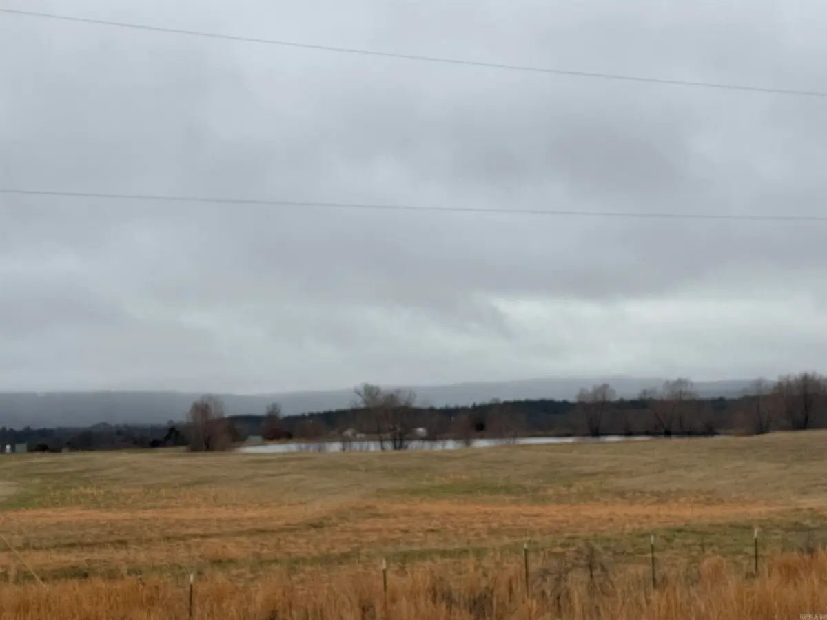 00 E Central Avenue, Greers Ferry, AR 72067 - #1