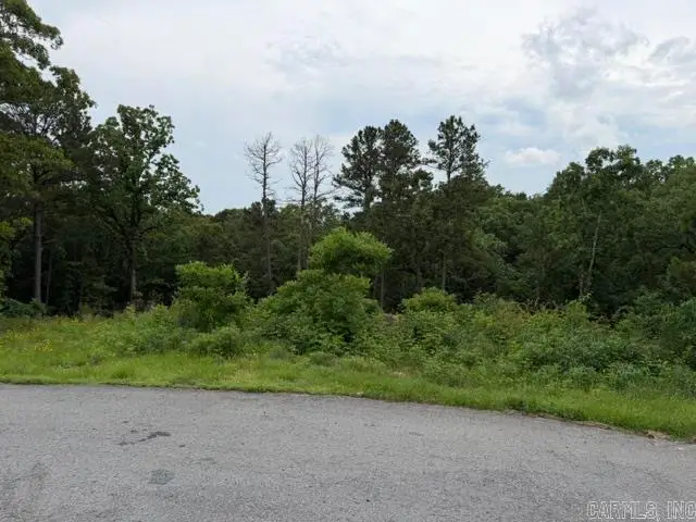 15600 Scenic Point Dr, Maumelle, AR 72113 - #3