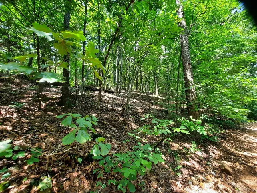 00 Wildhaven Road, Mountain View, AR 72560 - #2