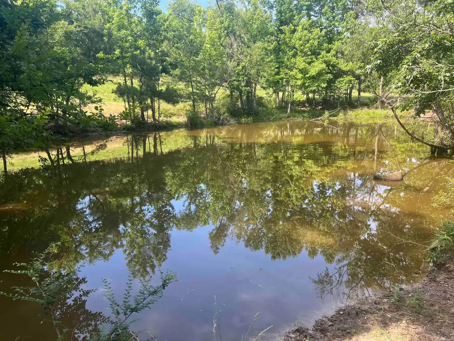 tract #2 Mountain View, Glenwood, AR 71943 - #3