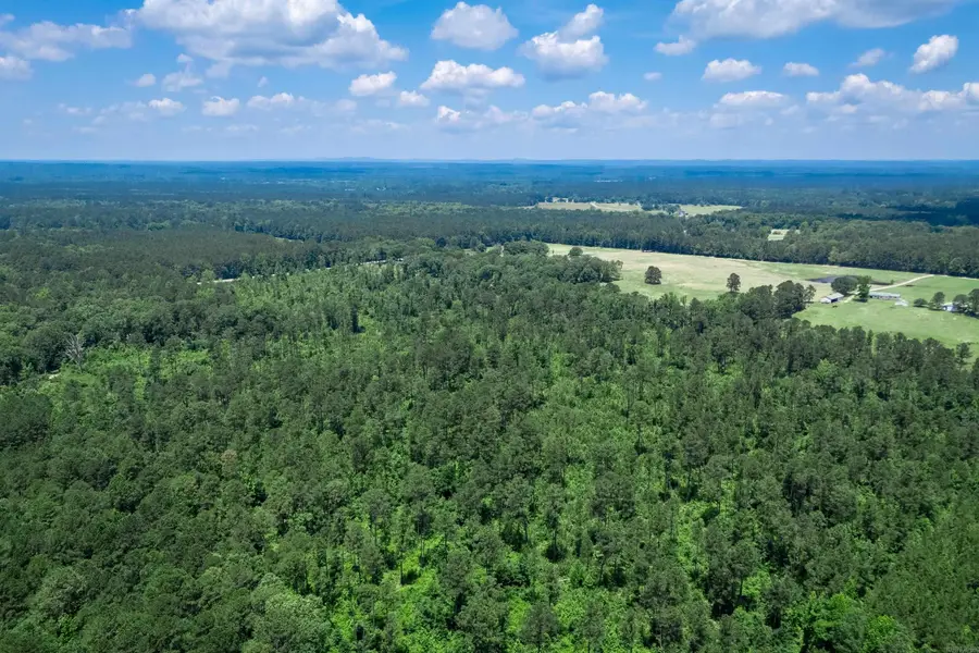 Tbd Mathews Road, Donaldson, AR 71941 - #2